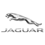 jaguar-min